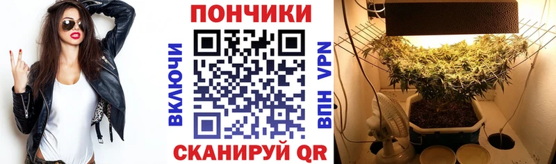 Где купить Обнинск АМФ МЕФ APVP ГАШИШ Каннабис