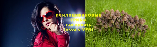 apvp Ладушкин