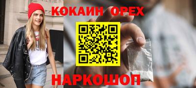 шишки Камышлов