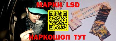 шишки Камышлов