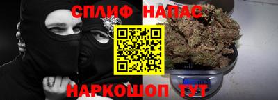 шишки Камышлов