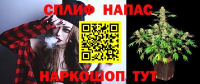 мдпв Кандалакша