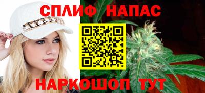 шишки Камышлов