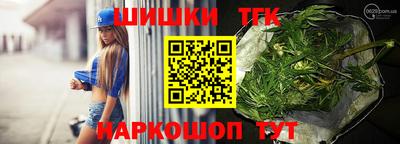 шишки Камышлов