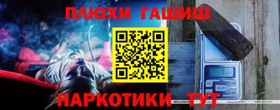 шишки Камышлов