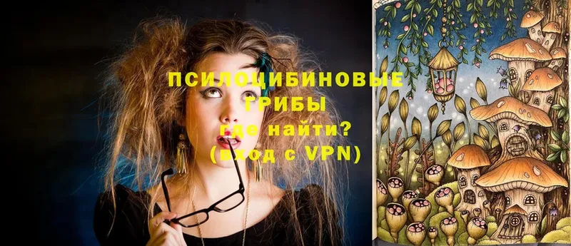 mega вход  Обнинск  Галлюциногенные грибы прущие грибы  магазин продажи  