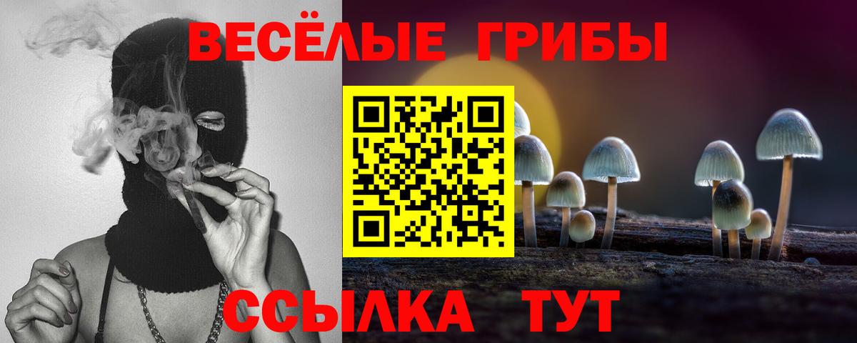 Галлюциногенные грибы Psilocybine cubensis  купить   Обнинск  Вход с VPN 